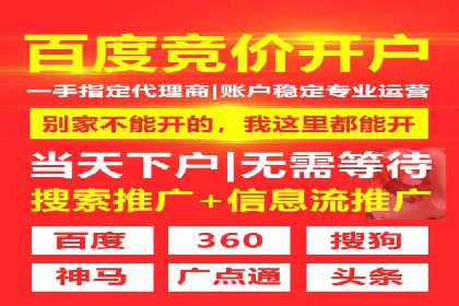 SEM托管服务成功案例背后的故事
